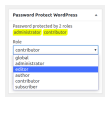 PPWP A WordPress Password Protect Page Plugin BWPS 6