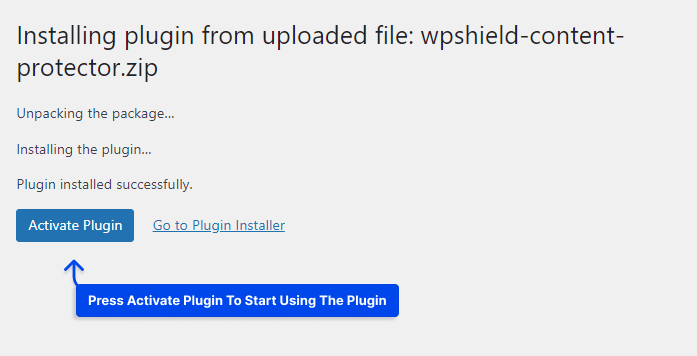 3 Activate the plugin