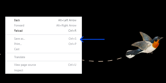 3 right click menu limiter on images 1