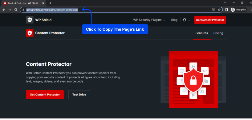 7 example of getting pages link
